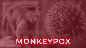 WHO Tetapkan Wabah Cacar Monyet sebagai Darurat Kesehatan Global
