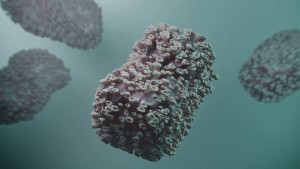 Begini Cara Cegah Wabah Cacar Monyet Menurut Pakar IDI