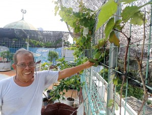 DKM Hubbul Wathon Kembangkan Budidaya Anggur di Rooftop Masjid