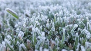 Dieng Membeku, Begini Proses Terbentuknya Embun Es