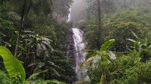 Curug Semawur, Air Terjun Tersembunyi yang Masih Alami