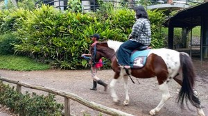 JMFTE 2022 Promosikan Ragam Pilihan Wisata Ramah Muslim