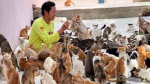 Kenalan dengan Rumah Singgah Clow, Komunitas Pecinta Kucing
