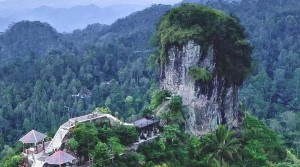 Desa Wisata Widosari, Miliki Lanskap Indah di Kulon Progo