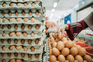 Harga Telur Melonjak Tinggi, Kemendag Ungkap Penyebabnya