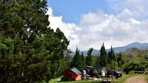 Sari Ater Campervan Park, Yuk Jajal Kamping di Dalam Mobil