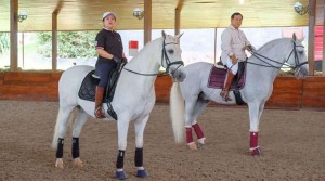 Puan Sebut PDIP Tak Tutup Peluang Koalisi dengan Gerindra