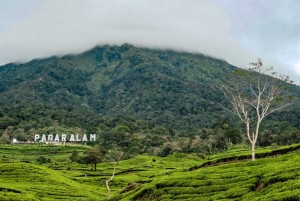 Desa Wisata Tebat Lereh, Tawarkan Potensi Wisata Alam dan Budaya