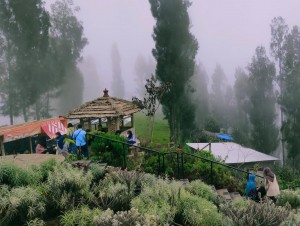 Taman Edelweiss, Destinasi Wisata Edukasi Budidaya Tanaman Langka