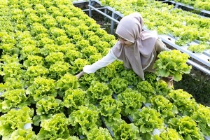 Masjid Asy Syifa RSCM Bergabung dalam Komunitas Ikonik