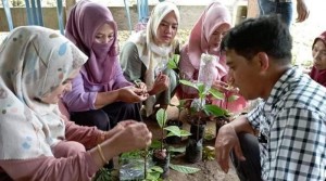 Tarik Wisatawan Lewat Wisata Edukasi, Ini yang Ditawarkan Desa Wisata Campaga