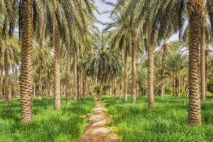 Tafsir Surat Al Isra Ayat 7: Teruslah Berbuat Baik