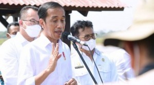 Jokowi Minta TGIPF Ungkap Tuntas Tragedi Kanjuruhan