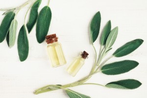 Teruji Ilmiah, 6 Makanan dan Herbal Ini Tajamkan Daya Ingat Hafiz Quran