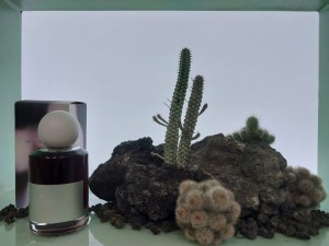 Jenama Parfum Lokal Ini Suguhkan Wewangian Ketenangan Alam