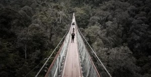 Jembatan Gantung Rengganis, Spot Seru Nikmati Keindahan Alam