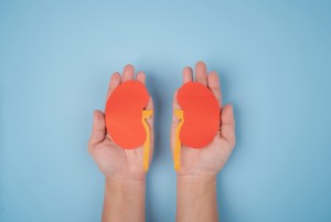 Gangguan Ginjal Akut Capai 206 Kasus, Tingkat Kematian 48 Persen