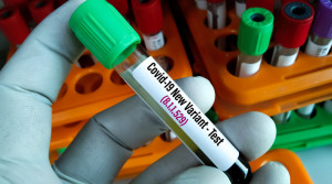 Subvarian Baru Omicron XBB, Kasus Pertama Transmisi Lokal