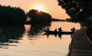 Tracking Mangrove Babalan, Ekowisata Berbasis Konservasi Alam