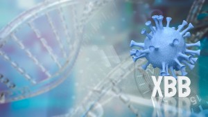 Varian Omicron XBB Masuk RI, Kemenkes: Total Ada 4 Kasus