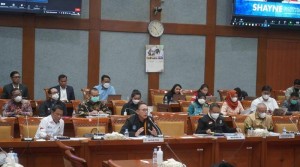 DPR Setuju untuk Naturalisasi Shayne Pattynama