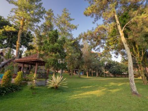 The Village Resort Bogor Tawarkan Penginapan Dekat dengan Alam