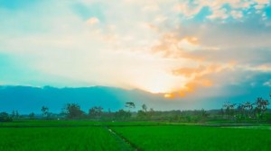 Masyarakat Desa Sidoharjo Kompak Jaga Semangat Gotong Royong