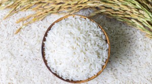 PKS Desak Pemerintah Batalkan Impor Beras, Utamakan Serap Gabah Petani