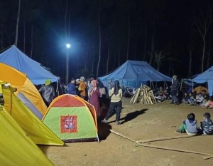 Hutan Pinus Megatutupan, Tawarkan Aktivitas Alam di Hutan Baros