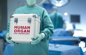 Transplantasi Organ Tubuh dari Pendonor Hidup, Cek Fatwanya!