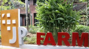 Kebun JP Farm Dipercantik dengan Tanaman Ikonik