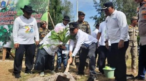 Warga Kepulauan Seribu Tanam Pohon Sukun untuk Penghijauan dan Ketahanan Pangan