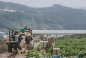 Pendaftaran Bantuan Inkubasi Bisnis Pesantren Dibuka Februari 2023