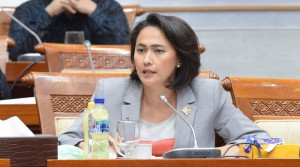 Legislator Optimistis TNI-Polri Mampu Bebaskan Pilot Susi Air