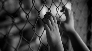 Profesor dari Perguruan Tinggi Australia Disandera di Papua Nugini