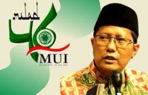 Wapres Minta Kemenag-MUI Respons Polemik Al Zaytun, Cholil Nafis Siap Melaksanakan