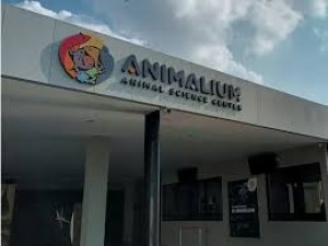 Liburan Sekolah, Yuk Belajar Mengenal Satwa di Animalium BRIN!