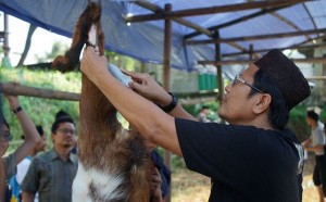 Hikmah Kurban, Tambah Kasih Sayang dan Latih Kedermawanan