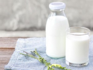 Minuman Favorit Rasulullah, Susu Kambing Bisa Atasi Nyeri Sendi