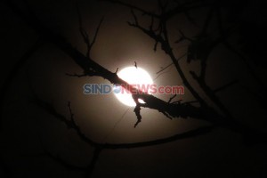 Fenomena Blue Moon dan Supermoon, Ini Penjelasan Lembaga Falakiyah PBNU