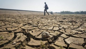Petani Tak Perlu Galau, Ini Saran Pakar Hadapi Dampak El-Nino