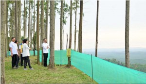 Presiden dan Para Menteri Nikmati Pemandangan IKN dari Atas Bukit