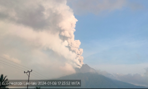 Gunung Lewotobi Laki-laki Erupsi, Letusan 1.500 Meter di Atas Puncak
