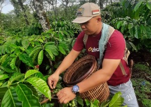 Kisah Inspiratif Deni Saputra: Sukses Bisnis Kopi Berkat Rumah BUMN Baturaja