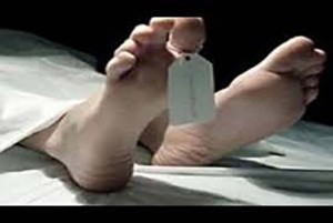 Kronologi Kecelakaan Maut Arus Mudik Mobil vs Bus di Tol Japek