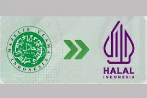 Indonesia dan Arab Saudi Sinergi Saling Pengakuan Standar Halal