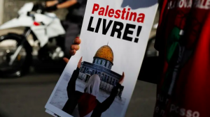 Para Ahli PBB Desak Semua Negara untuk Mengakui Negara Palestina