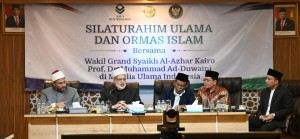 3 Pesan Penting Wakil Grand Syekh Al-Azhar Kairo pada Pengurus MUI