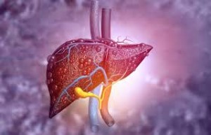 Kenalilah Gejala dan Pencegahan Hepatitis pada anak