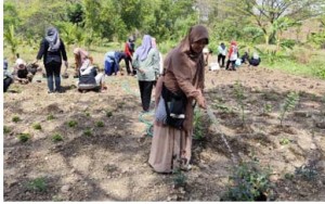 Gagas Program Etalase Toga, Ubaya dan UPN Latih Warga Mojokerto Budidaya Tanaman Organik